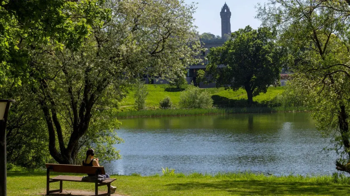A woman sits on a bench in front of a lake on a sunny day